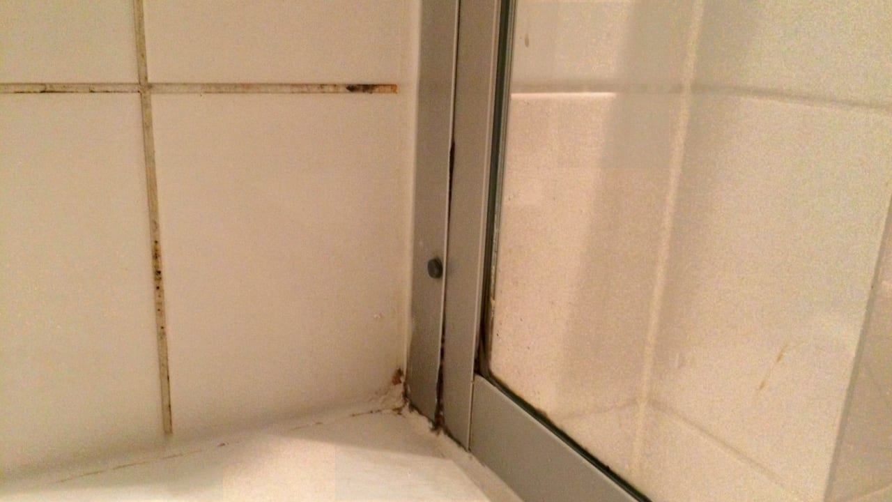 Dusche mit Schimmel Wyndham Garden Potsdam