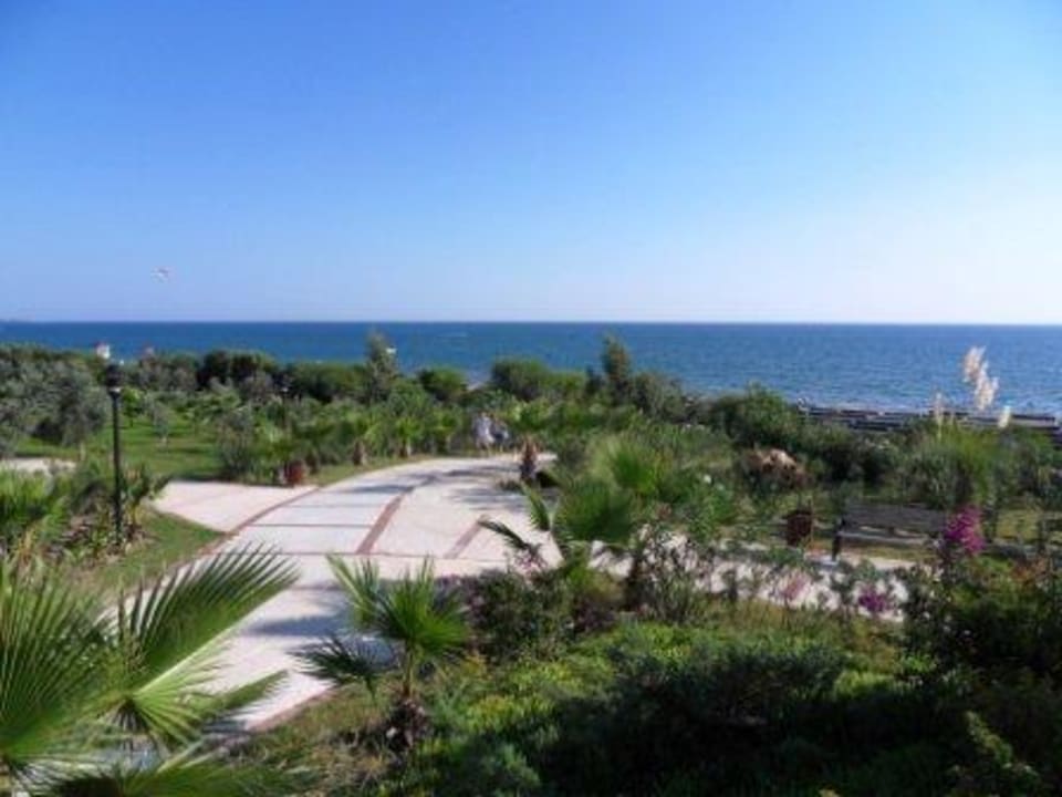 Aussenanlage Alba Resort Hotel