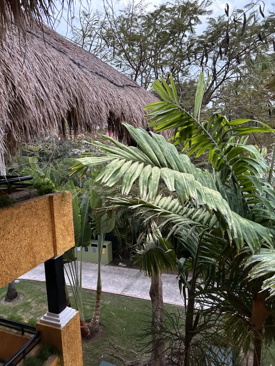 Gartenanlage Iberostar Waves Tucan