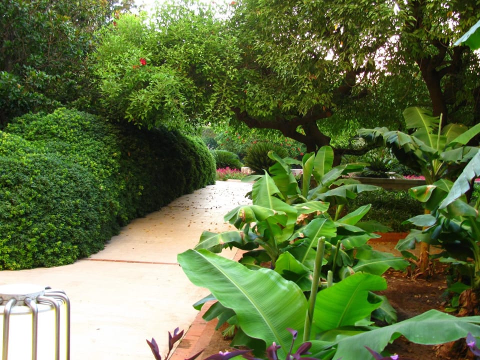 Отель Hotel Özkaymak Falez