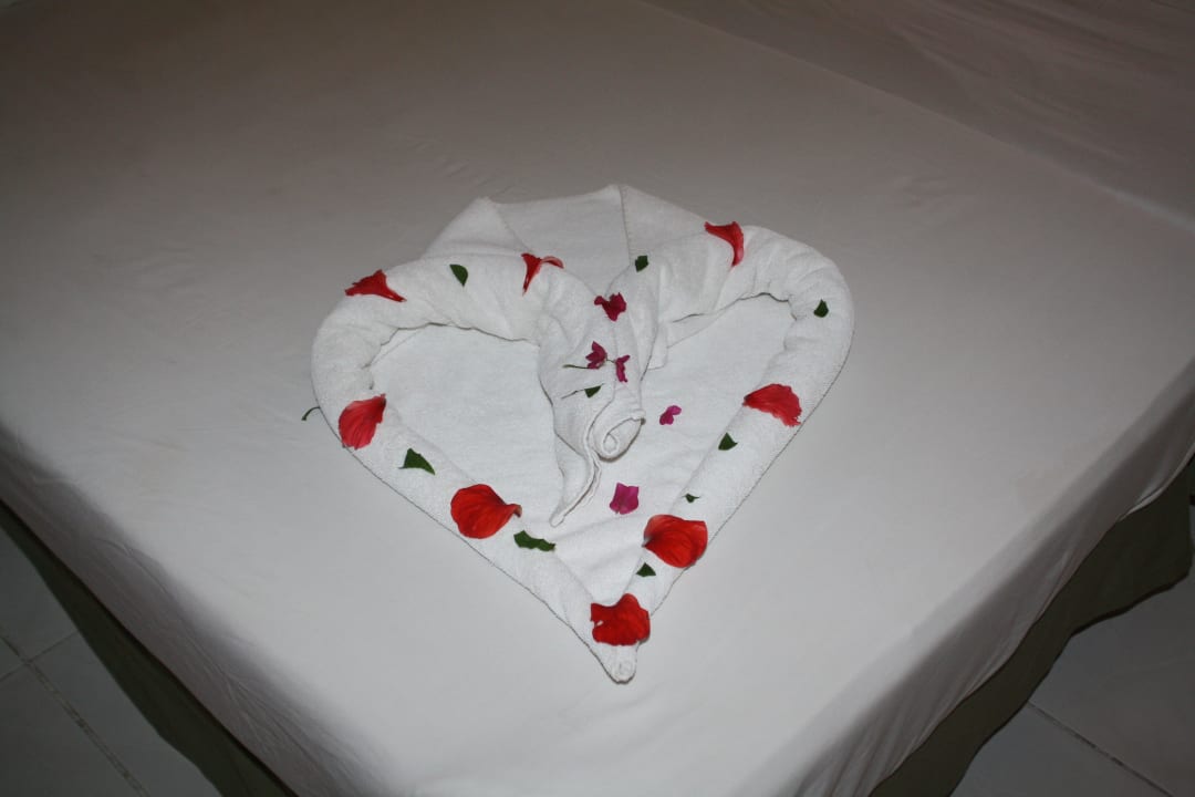 Hotel Ghazala Gardens Ghazala Gardens