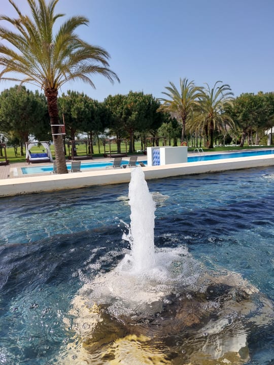 Sonstiges ROBINSON QUINTA DA RIA