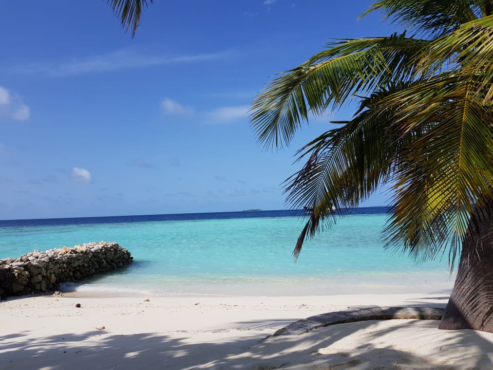 Strand Eri Maldives