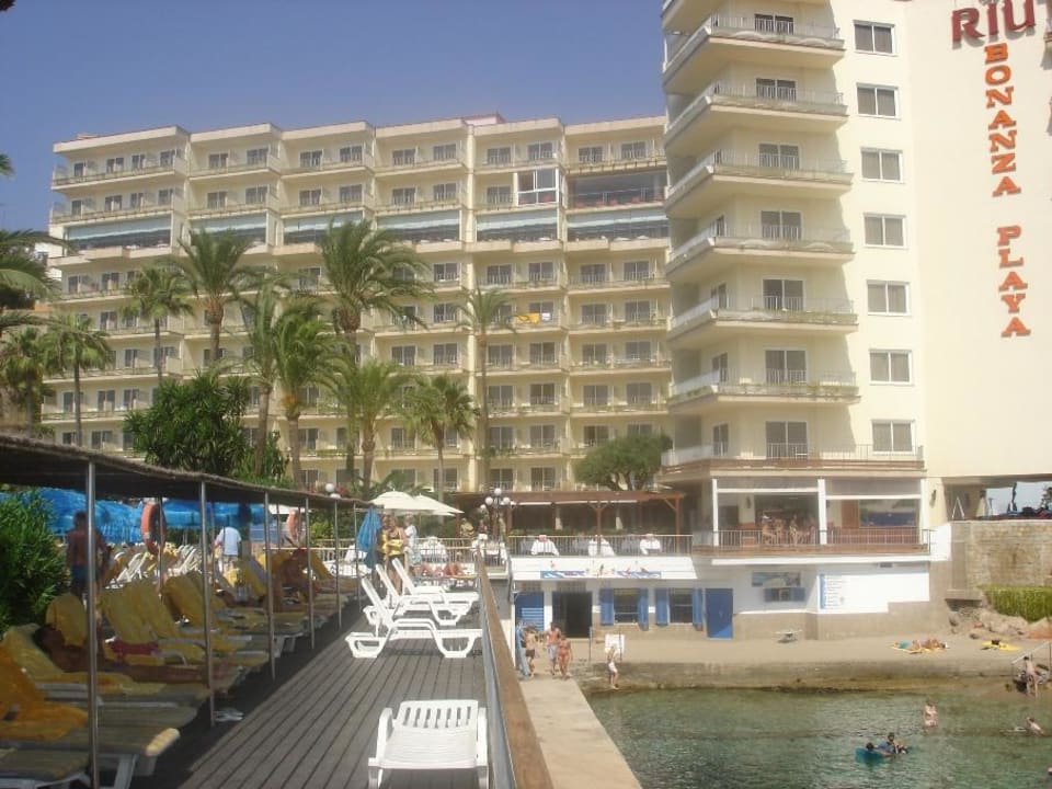 Hotel Hotel Bonanza Playa