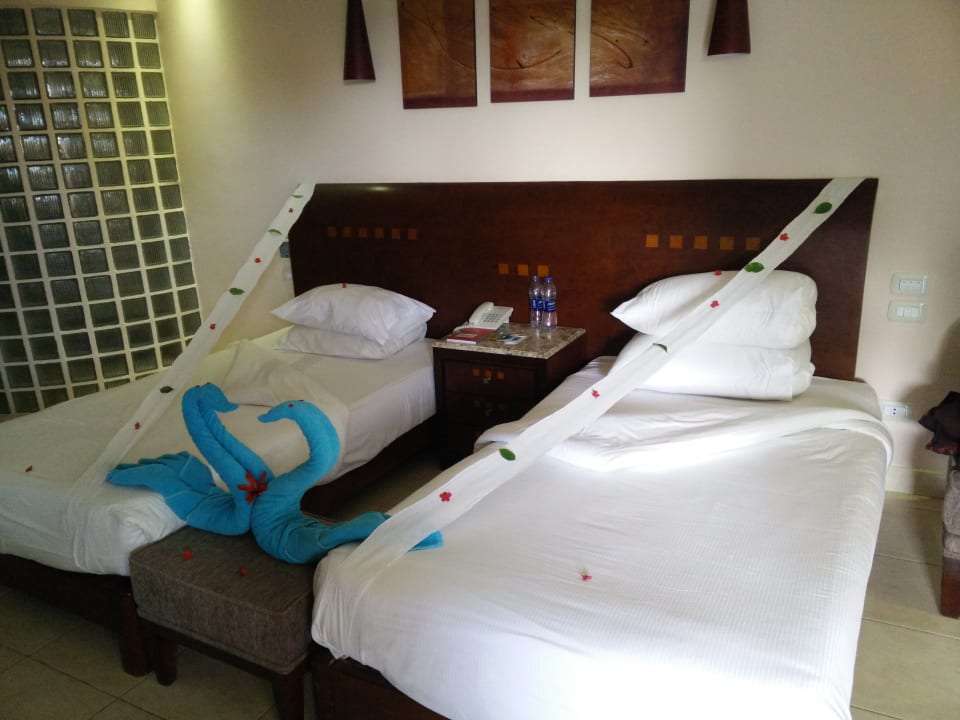 Zimmer Shams Prestige Abu Soma-Adults Only