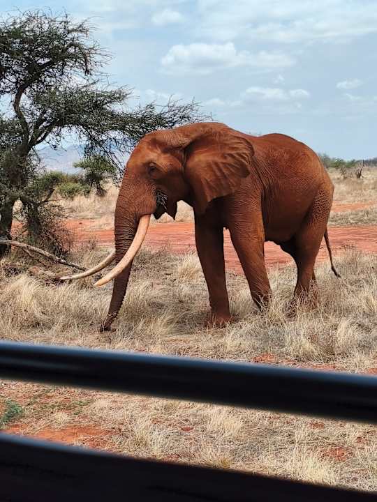Außenansicht Hotel Diani Sea Lodge