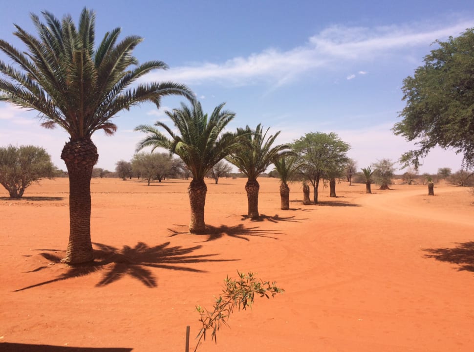 Außenansicht Kalahari Anib Lodge