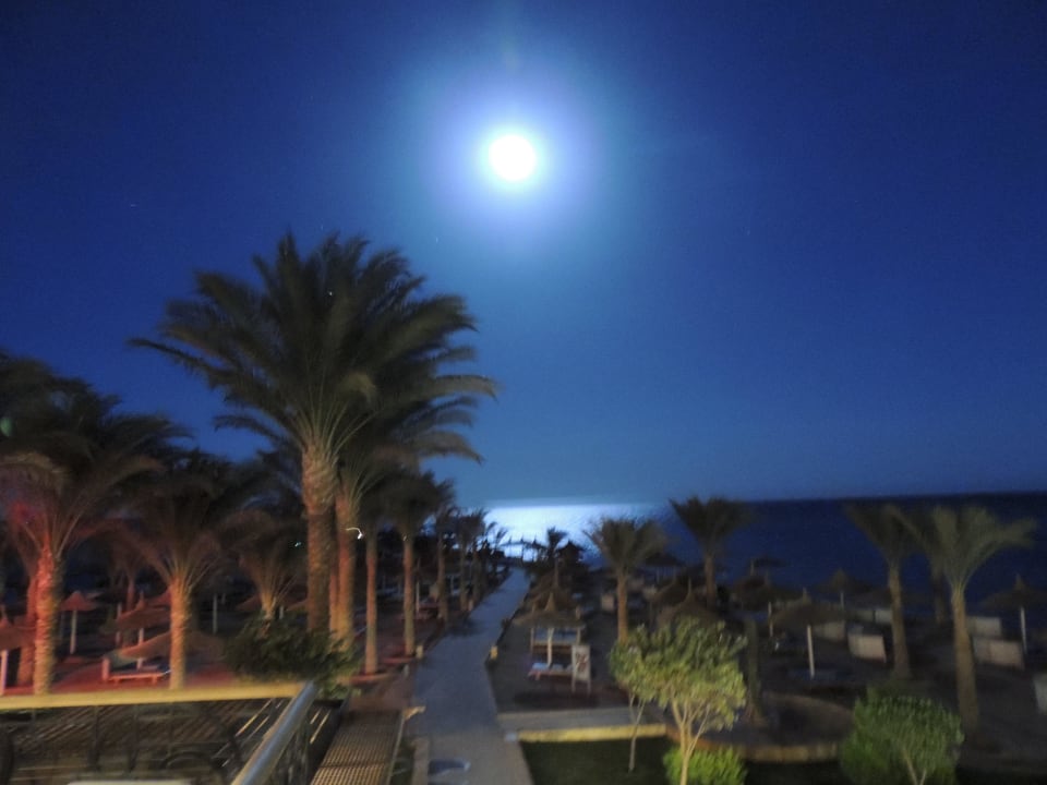 Vollmondnacht Beach Albatros Resort
