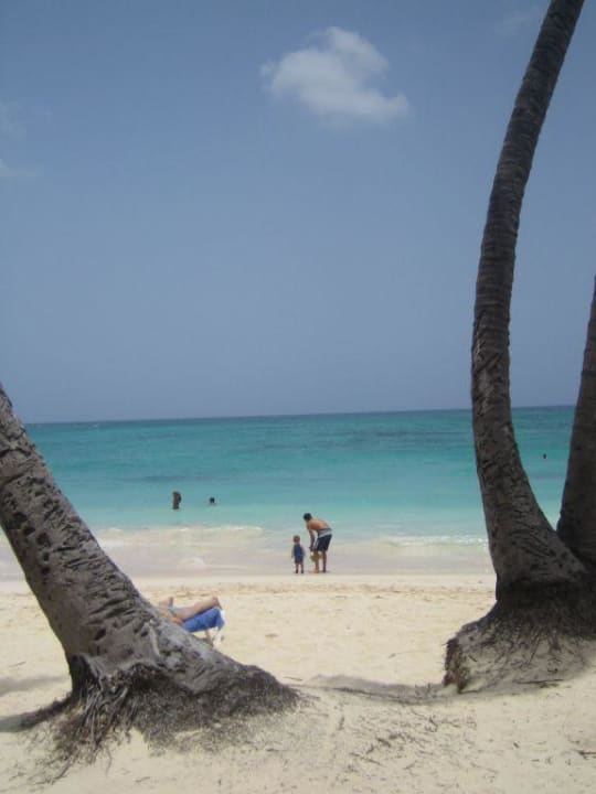 Strand und Meer Grand Palladium Punta Cana Resort & Spa