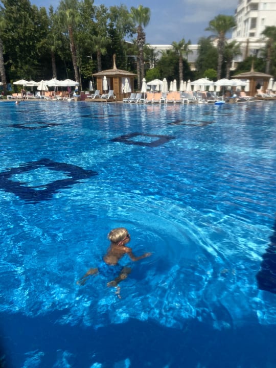 Pool Hotel Delphin Imperial