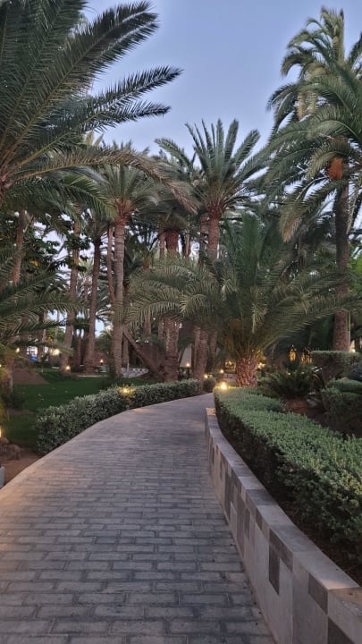 Gartenanlage Hotel Riu Palace Oasis