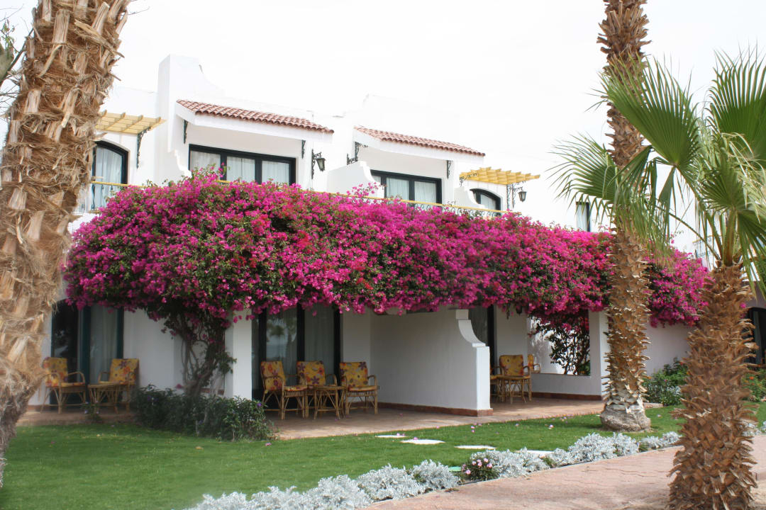 Blütenmeer Lotus Bay Beach Resort