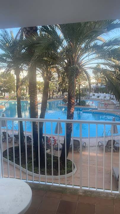 Ausblick Calimera Fido Gardens