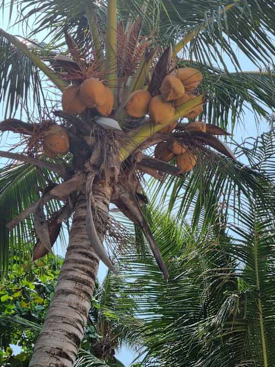 Ausblick Patong Lodge Hotel