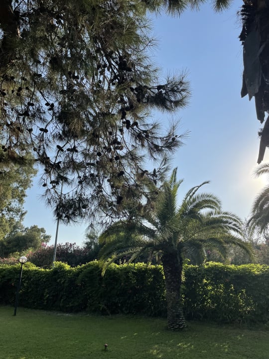 Gartenanlage Asteria Collection Side