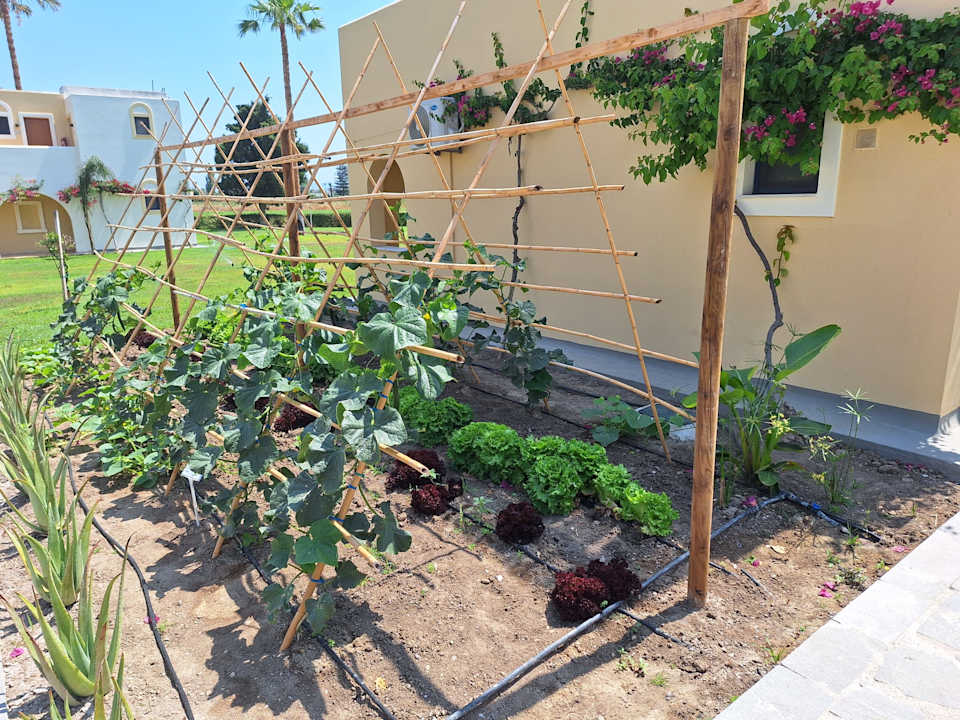 Gartenanlage Grecotel Casa Paradiso