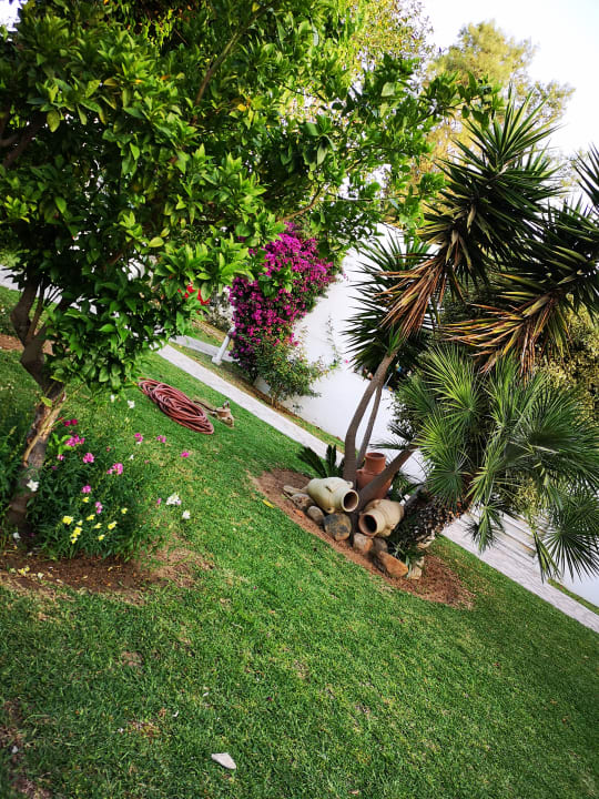 Garten The Orangers Beach Resort and Bungalows