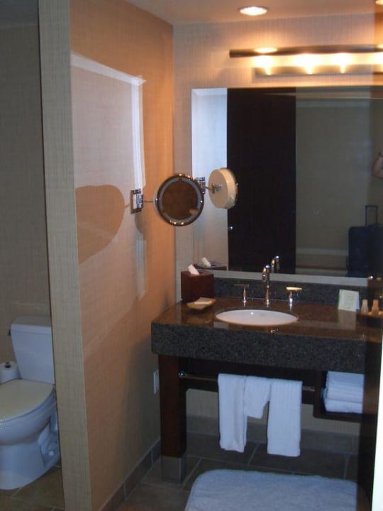 Bad Hotel The Palms Casino Resort