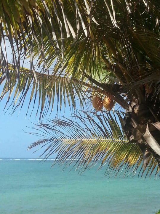 Bahari Beach Hotel Bahari Beach Hotel