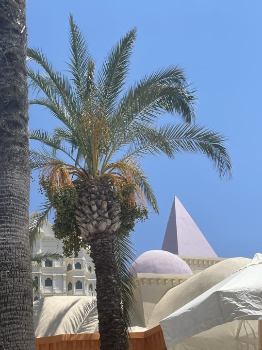 Pool Kamelya Aishen Club