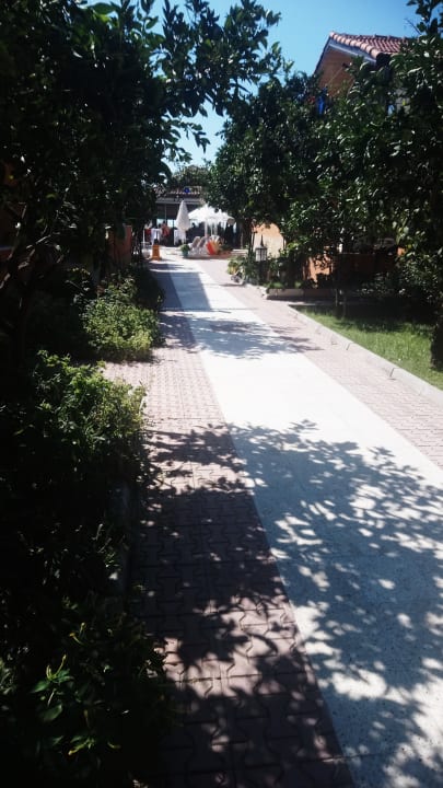 Gartenanlage Özlem Garden Hotel