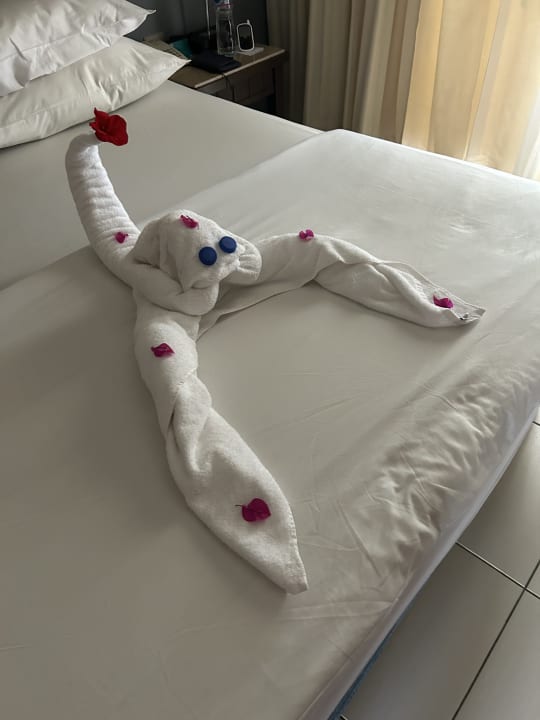 Zimmer Jaz Bluemarine