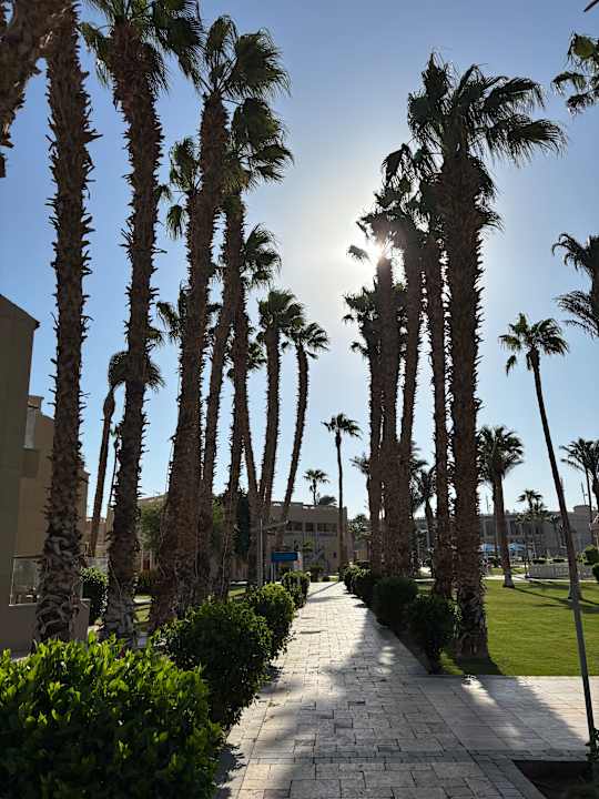 Gartenanlage Beach Albatros Resort