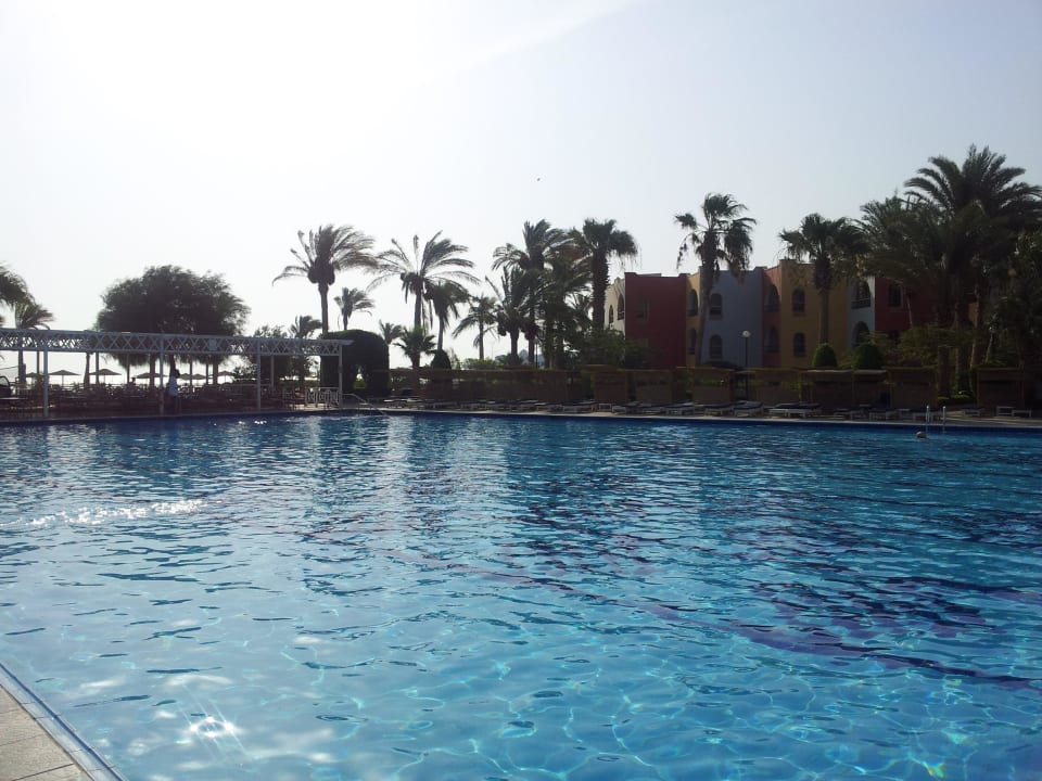 ..großer Sportpool Arabia Azur Resort
