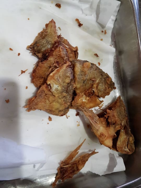 Fischköpfe...wer sol das Essen? Shams Alam Beach Resort