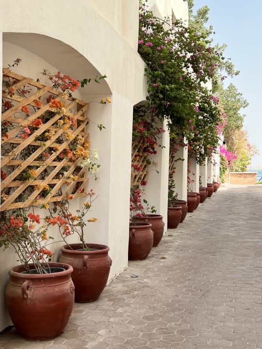 Gartenanlage Fort Arabesque Resort, Spa & Villas