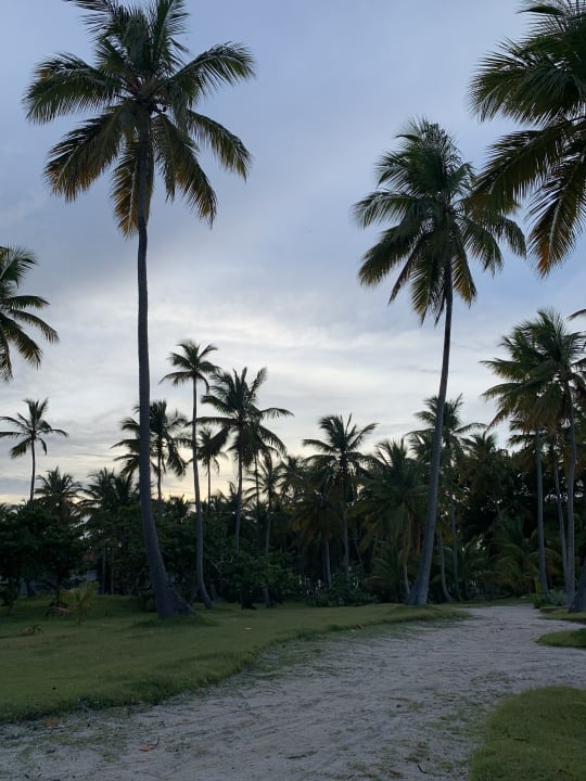 Gartenanlage Wyndham Alltra Samana