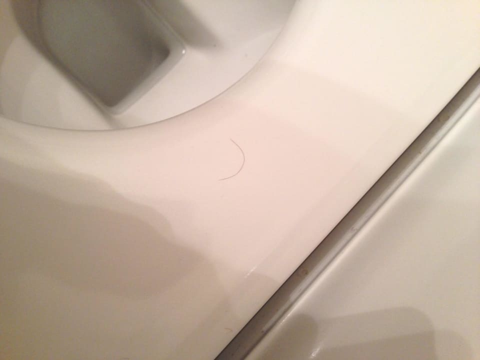 Haar auf Toilette Pisa Tower Plaza