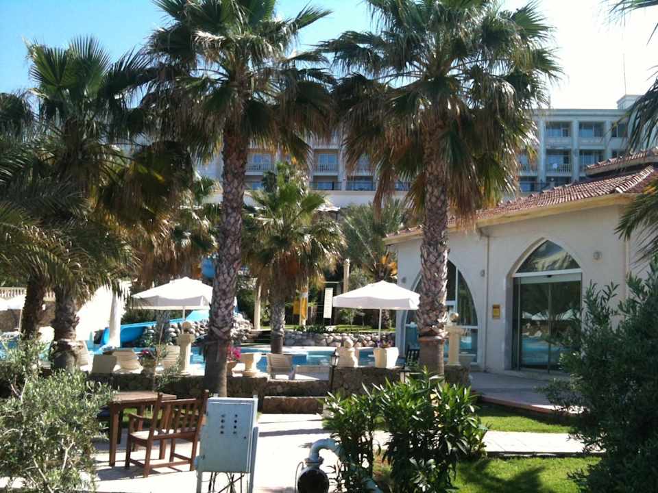 Oscar Oscar Resort Hotel