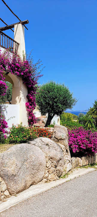 Gartenanlage Hotel Stelle Marine