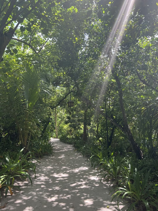 Strand NH Collection Maldives Reethi Resort