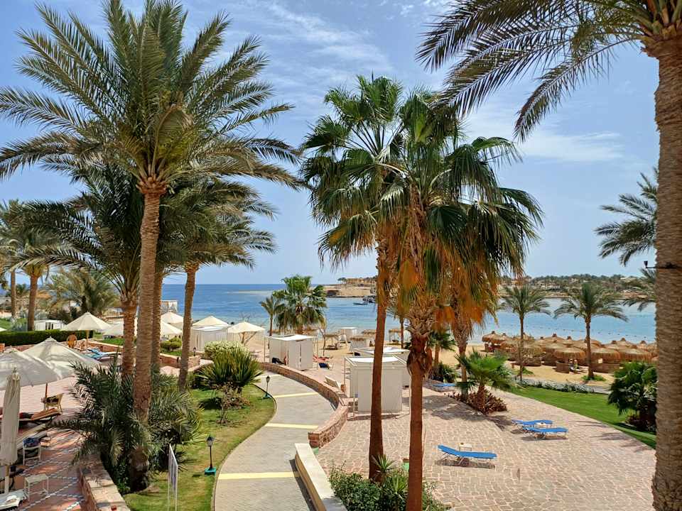 Gartenanlage Steigenberger Coraya Beach - Adults only