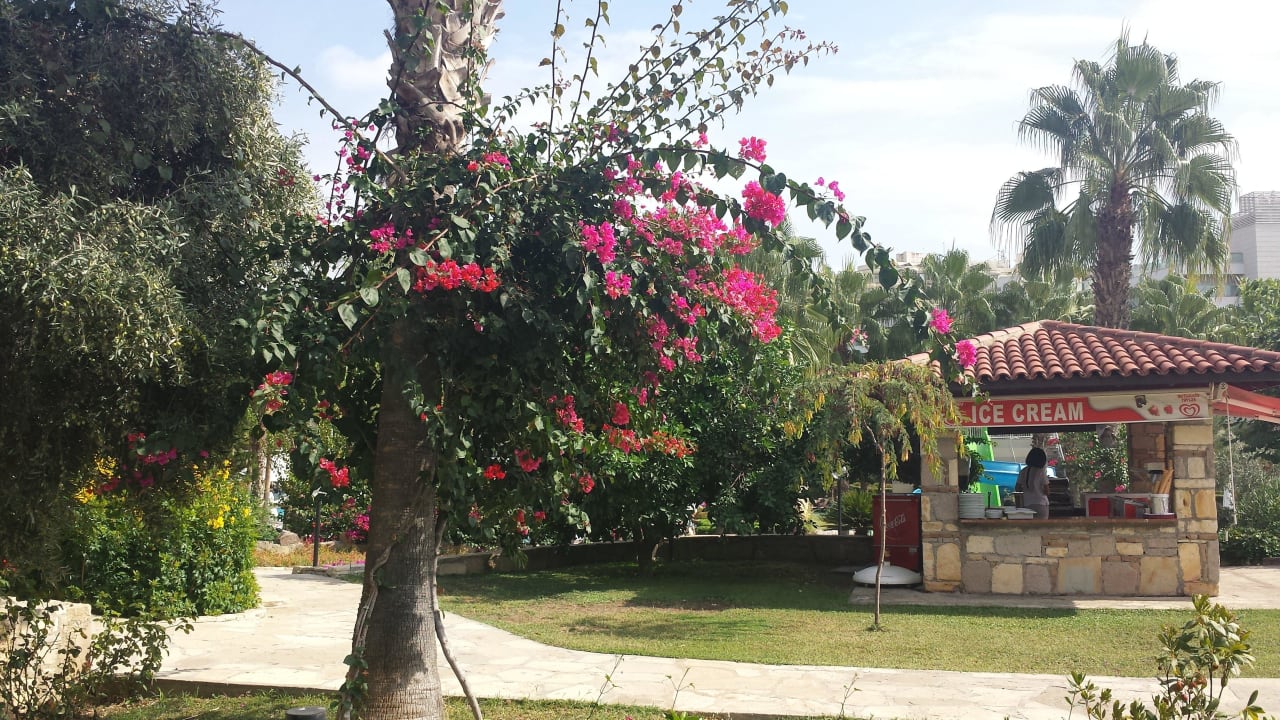 Der Eisstand hier gibt es den guten Crepes mit Eis Arum Barut Collection