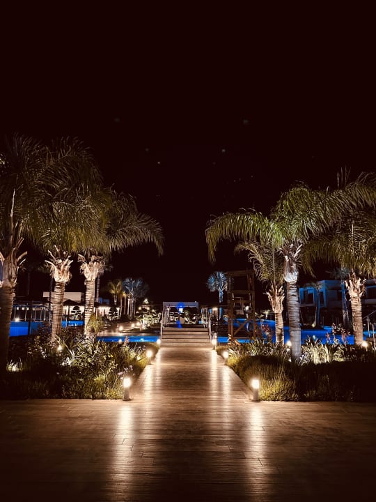 Gartenanlage TUI BLUE Palazzo del Mare