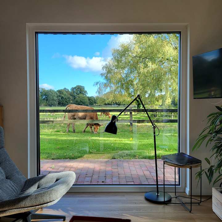 Ausblick Ferienwohnungen/ Ferienhäuser Bauernhof Onken