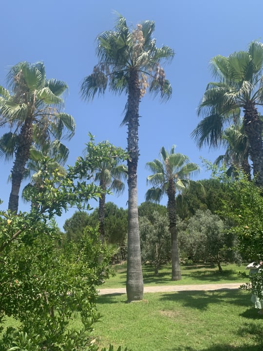 Gartenanlage Club Grand Side