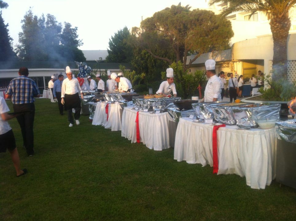 Gala Night Asteria Collection Side