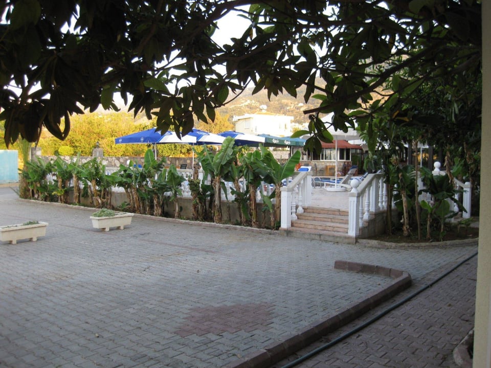 Ausblick Richtung Pool Club Alda Hotel