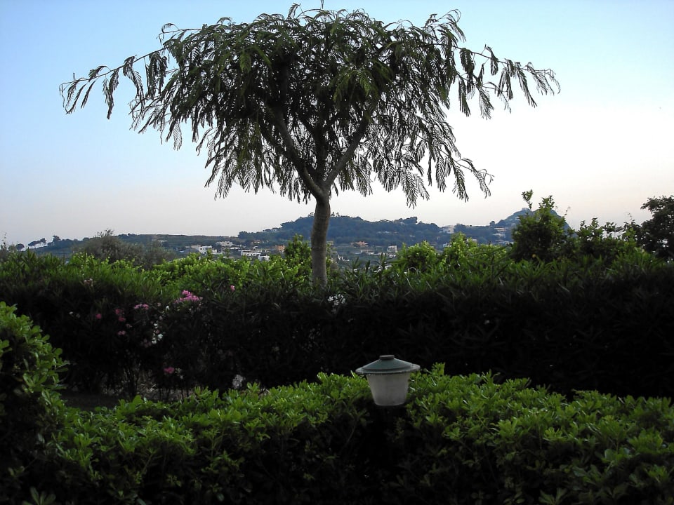 Aussicht Hotel Paradiso Terme Resort & SPA