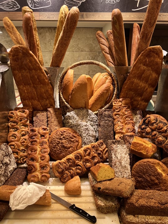 Gastro Papillon Ayscha