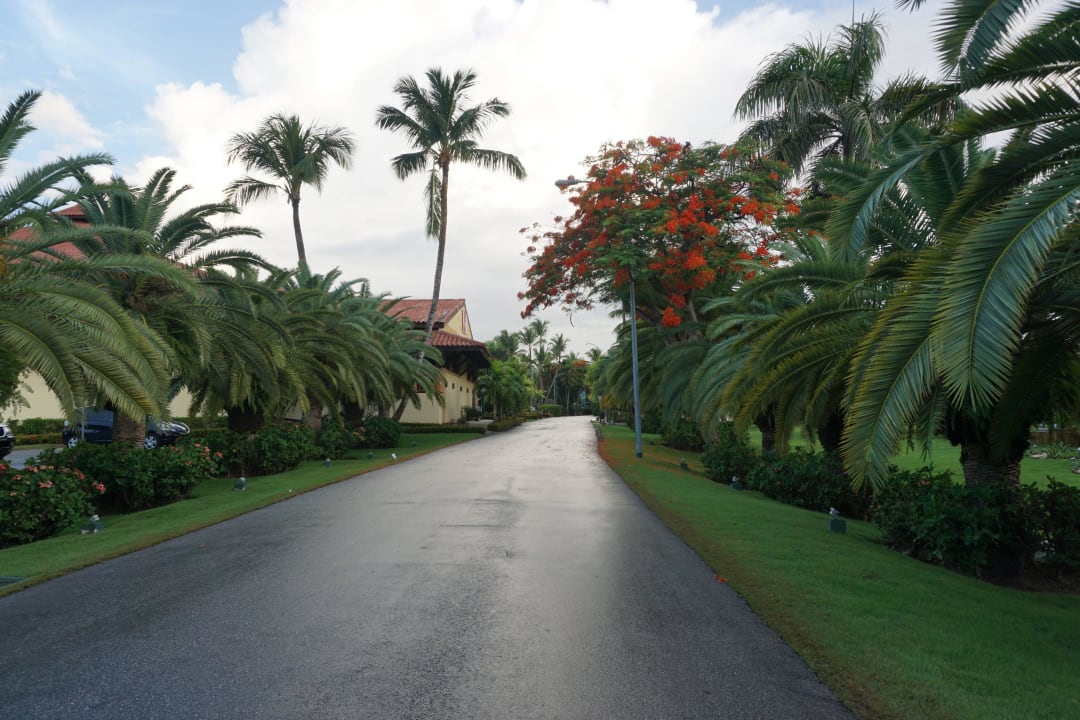 Straßen und GArten Hotel Grand Palladium Palace Resort, Spa & Casino