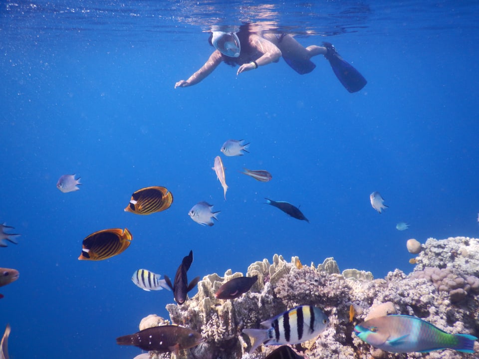 Sport & Freizeit Serenity Alpha Beach