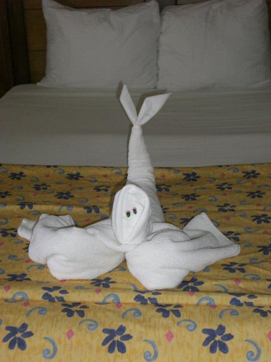 Handtuchfigur jeden tag was neues Catalonia Royal Tulum Beach & Spa Resort - Adults only