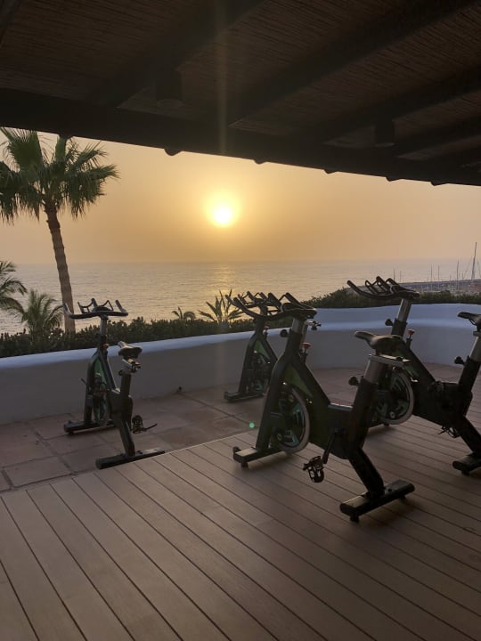 Sport & Freizeit Dreams Jardín Tropical