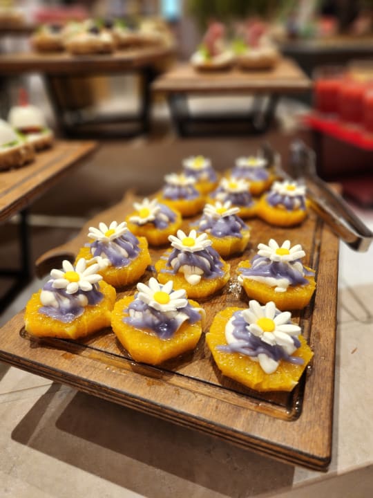 Gastro Arycanda Kirman Premium