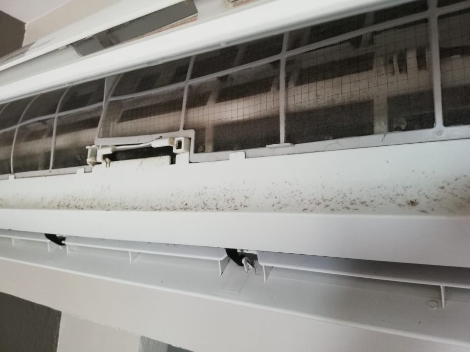 Sonstiges Moracea by Khao Lak Resort